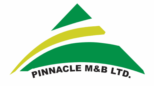 pinnacle logo